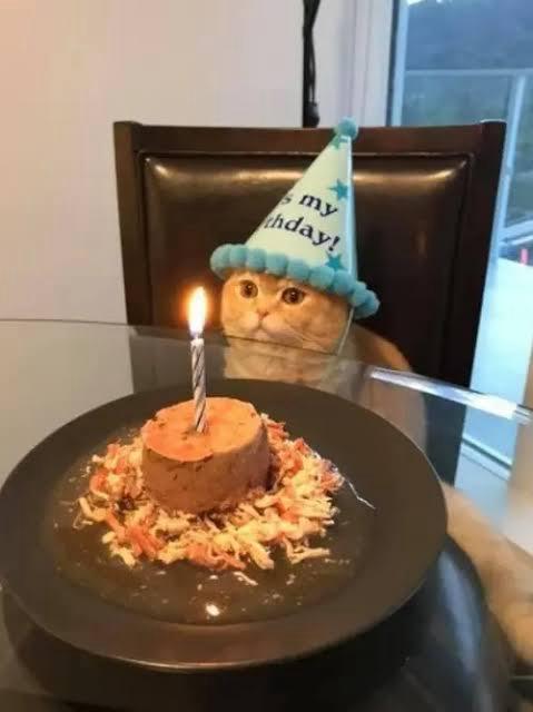 Selamat Ulang Tahun